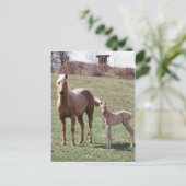 ブレー&ジャック ポストカード (スタンド正面)