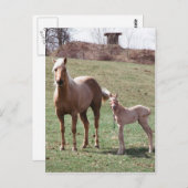 ブレー&ジャック ポストカード (正面/裏面)