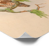 ブロイズフクロウワレット茶色ヴィンテージバードアートプリント ポスター (角)