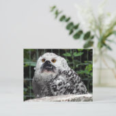 ブログはがき ポストカード (スタンド正面)