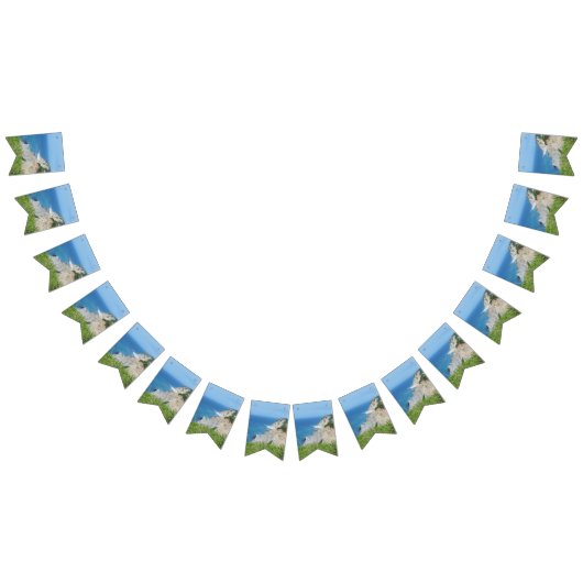 ブロックアイランドブラフス – ロードアイランド、ブロックアイランド バンティングフラッグ (全)