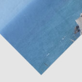 ブロックアイランドブラフス – ロードアイランド、ブロックアイランド 薄葉紙 (詳細)