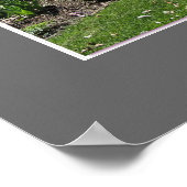 ブロックビルオンタリオマグノリアス ポスター (角)