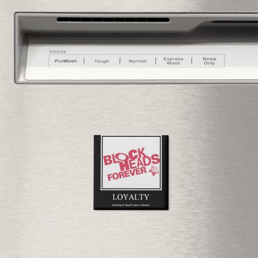 ブロック頭 マグネット (インサイチュ (食洗機))