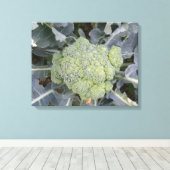 ブロッコリー印刷 キャンバスプリント (インサイチュ (ウッドフロア))