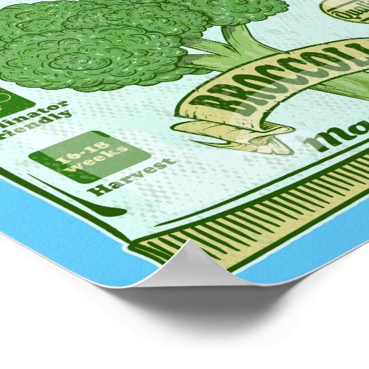 ブロッコリー種子による野菜の栽培 ポスター (角)