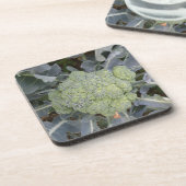 ブロッコリー・コルクコースター コースター (左側)