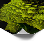 ブロッコリー ポスター (角)