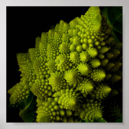 ブロッコリー ポスター