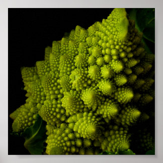 ブロッコリー ポスター