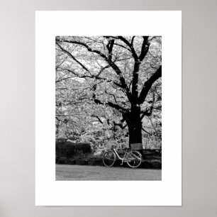 ブロッサム&自転車：日本 ポスター