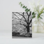 ブロッサム&自転車：日本 ポストカード (スタンド正面)