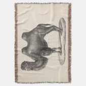 ブロットマンキャメルスケッチ スローブランケット (正面縦)