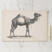 ブロットマンサブダリーラクメスケッチ ペーパーパッド (インサイチュ)