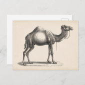 ブロットマンサブダリーラクメスケッチ ポストカード (正面/裏面)