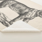 ブロットマンタイガースケッチ シェルパブランケット (3/4)