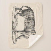 ブロットマンタイガースケッチ シェルパブランケット (正面)