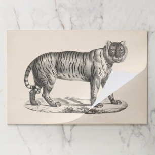 ブロットマンタイガースケッチ ペーパーパッド