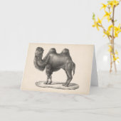 ブロットマン・キャメル・スケッチ カード (黄色い花)