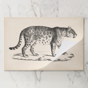 ブロットマン·レオパード·スケッチ ペーパーパッド