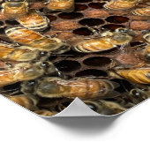 ブロッド・フレーム・ポスターのミツバチ ポスター (角)