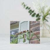 ブロッドX ポストカード (スタンド正面)