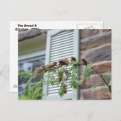 ブロッドX ポストカード (正面/裏面)