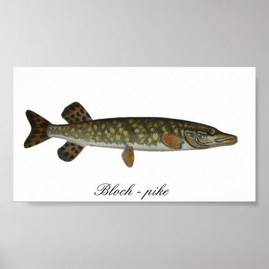ブロッホ – パイクのポスター ポスター (正面)