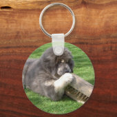 ブロムキーチェーン付きチベットマスチフJampo キーホルダー (正面)