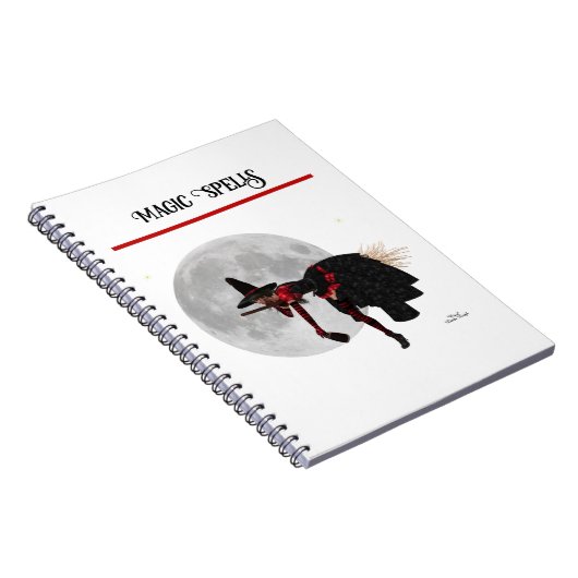 ブロムスパイラルノートブ飛んでいるックのティプスウィッチ ノートブック (右側)