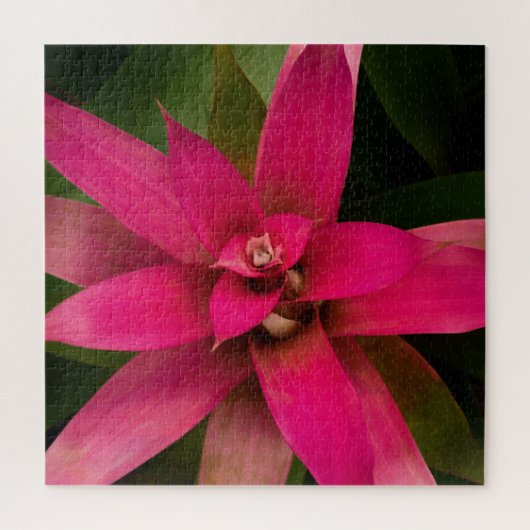 ブロムリアド開花 ジグソーパズル (縦)