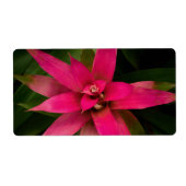 ブロムリアド開花 ラベル (正面)