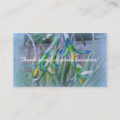 ブロムリードが青く咲く 名刺 (裏面)