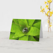 ブロムリード緑色植物写真 カード (黄色い花)