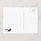 ブロムリード緑色植物写真 ポストカード (裏面)