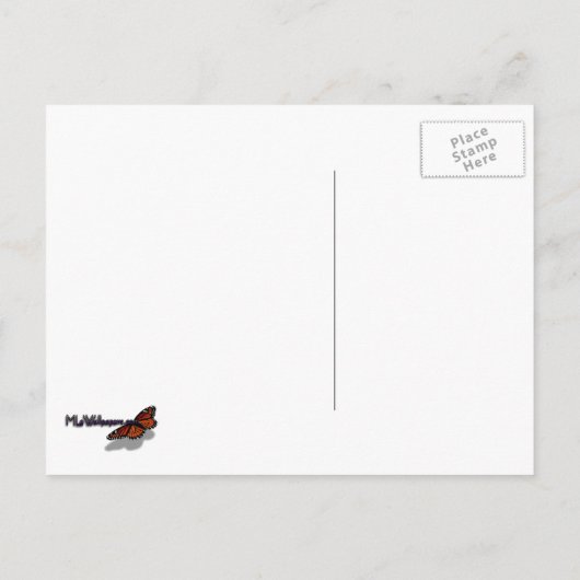 ブロムリード緑色植物写真 ポストカード (裏面)