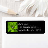 ブロムリード緑色植物写真 ラベル (インサイチュ)