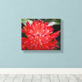 ブロムリード花 キャンバスプリント (インサイチュ (ウッドフロア))