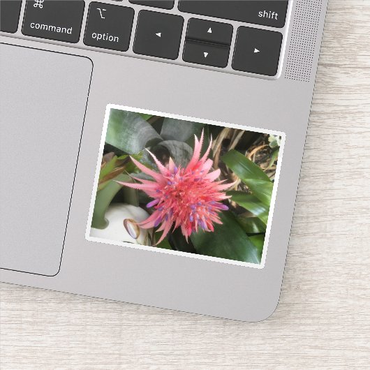 ブロムリード花 シール (詳細)