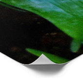 ブロムリード ポスター (角)