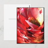 ブロムリード ポストカード (正面/裏面)