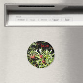 ブロメリード生きた禅磁石 マグネット (インサイチュ (食洗機))