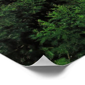 ブロモクレーター ポスター (角)