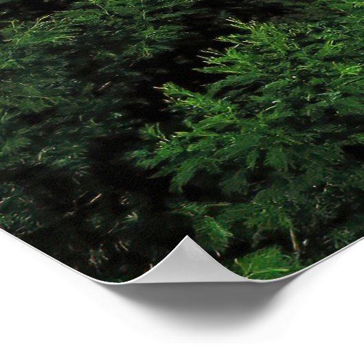 ブロモクレーター ポスター (角)