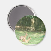 ブロンクス動物園イメージ マグネット (正面/裏面)