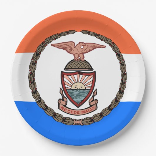 ブロンクス国旗（ニューヨーク市ボロー） ペーパープレート (正面)