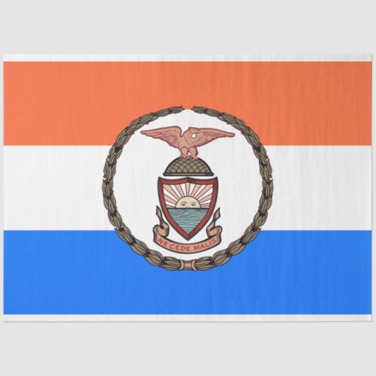 ブロンクス国旗（ニューヨーク市ボロー） 薄葉紙 (正面)