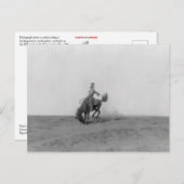 ブロンコバスティングポストカード ポストカード (正面/裏面)