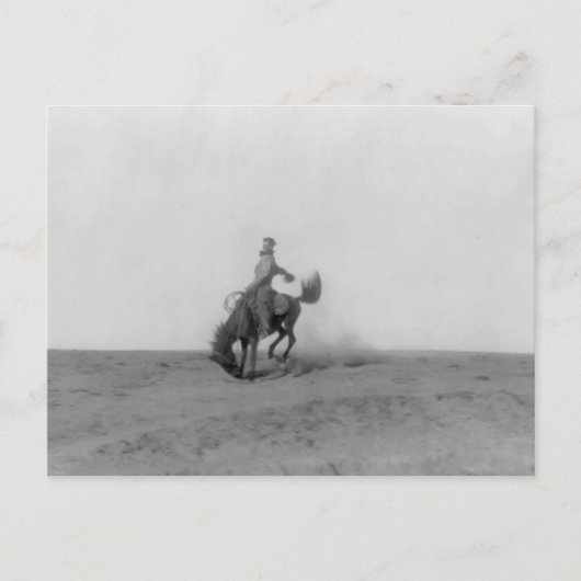 ブロンコバスティングポストカード ポストカード (正面)