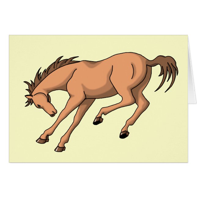 ブロンコ (正面横)